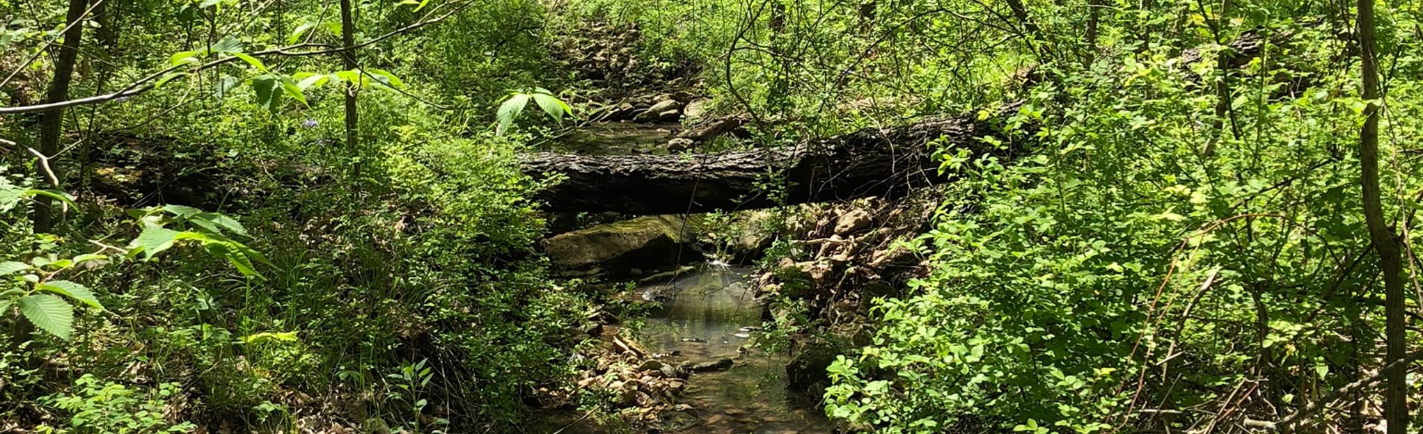 Prairie Home Conservation Area Upper Loop, Missouri 3 Reviews, Map