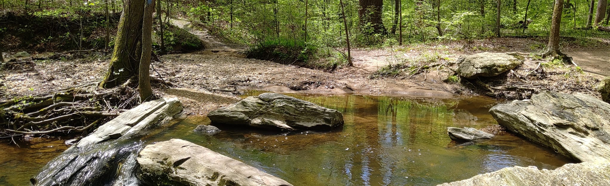 Fred Crabtree Park 369 Reviews, Map Virginia AllTrails