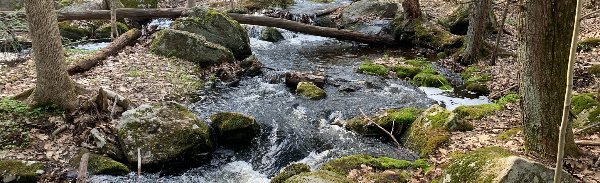 Cricket Hill via Hemlock and Bicentennial Trail, New Hampshire 55