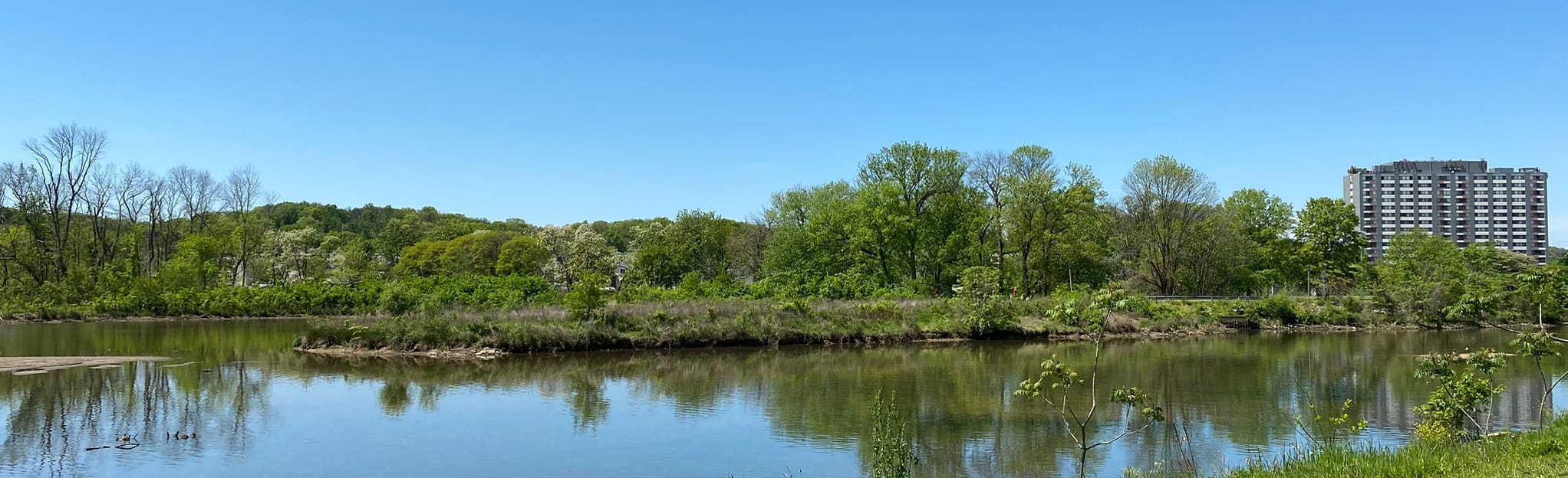 Custis Washington Old Dominion - EyJidWNrZXQiOiJhc3NldHMuYWxsdHJhaWxzLmNvbSIsImtleSI6InVwbG9hZHMvcGhvdG8vaW1hZ2UvMjYyMzM5MDAvYzBjMDU1MWUzZDVlZTkzMzU5Yjk2NjVhMmY3OGE0ZDkuanBnIiwiZWRpdHMiOnsidG9Gb3JtYXQiOiJqcGVnIiwicmVzaXplIjp7IndpZHRoIjoyMDQ0LCJoZWlnaHQiOjYyNCwiZml0IjoiY292ZXIifSwicm90YXRlIjpudWxsLCJqcGVnIjp7InRyZWxsaXNRdWFudGlzYXRpb24iOnRydWUsIm92ZXJzaG9vdERlcmluZ2luZyI6dHJ1ZSwib3B0aW1pc2VTY2FucyI6dHJ1ZSwicXVhbnRpc2F0aW9uVGFibGUiOjN9fX0=