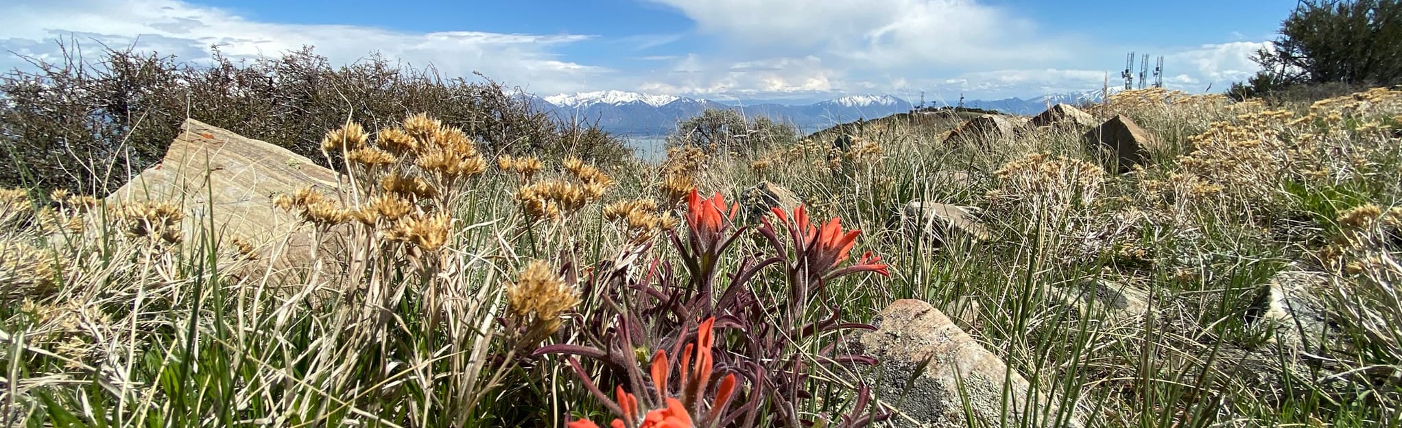 Lake Mountain Southern Approach 16 Reviews, Map Utah AllTrails