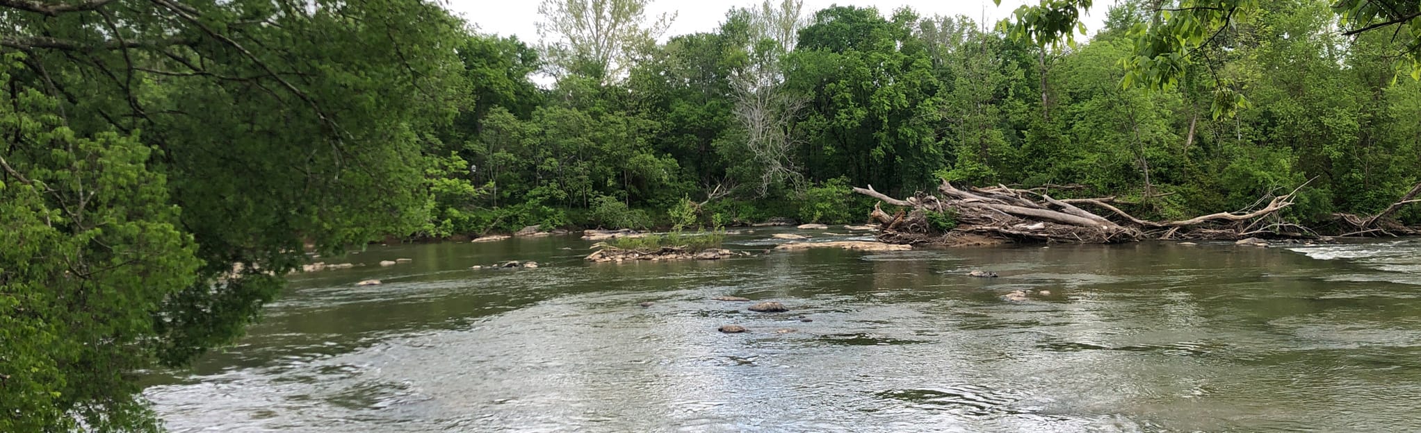 Haw River Trail Swepsonville Segment, North Carolina 116 Reviews, Map