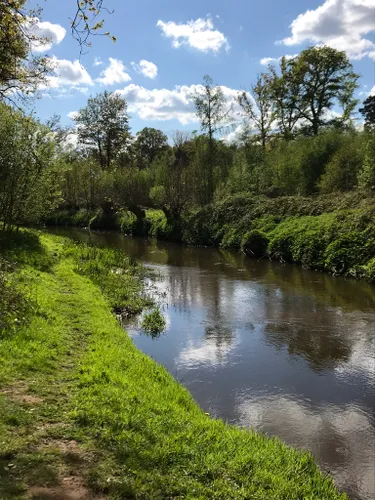 Best Beach Trails in Surrey Hills Area of Outstanding Natural Beauty ...