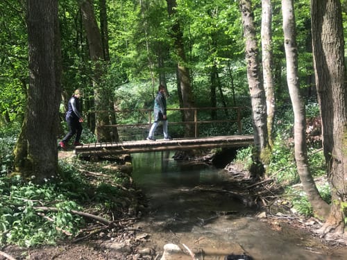 Von Höchstberg durch den Plattenwald
