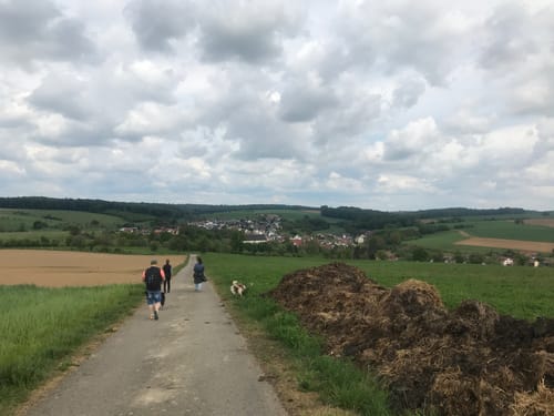 Von Höchstberg durch den Plattenwald
