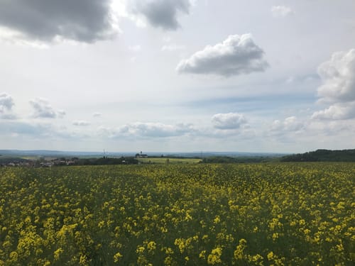 Von Höchstberg durch den Plattenwald