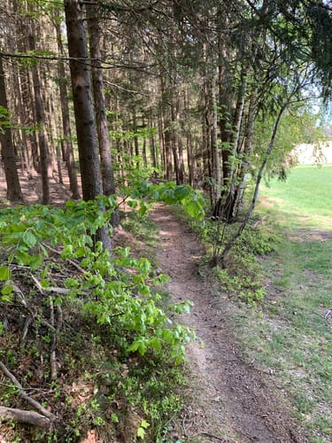 Goldsteig Südroute Etappe 4: Neuhaus - Letzau