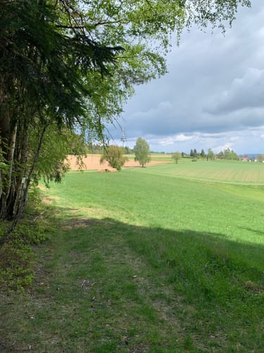 Goldsteig Südroute Etappe 4: Neuhaus - Letzau