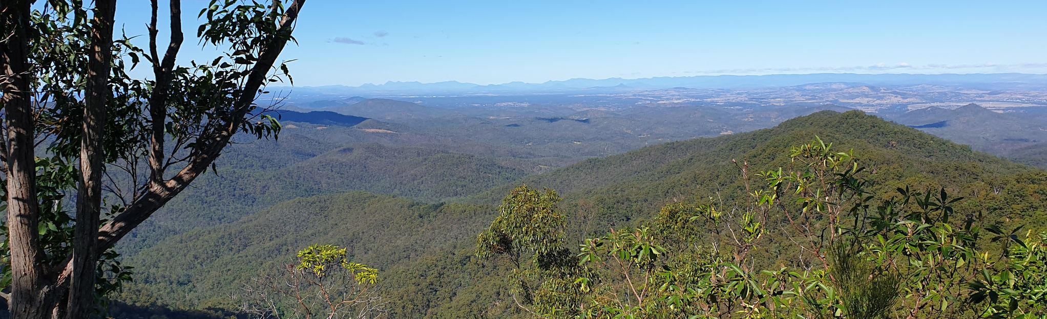 Northbrook Mountain via Cattleyards Break: 8 Reviews, Map - Queensland ...