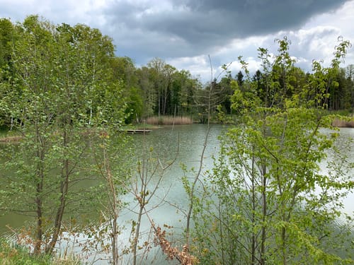 Rund um den Monheimer Weiher