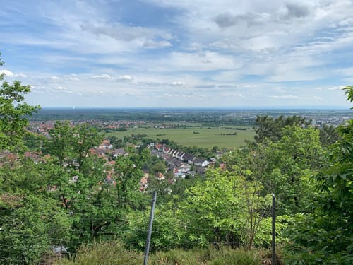 Pfälzer Weinsteig Etappe 4: Deidesheim - Neustadt a. d. Weinstraße