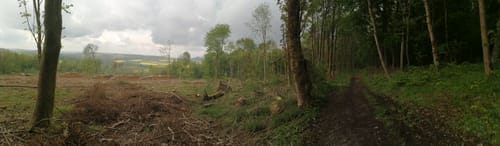 Breitenbach - Adam-Weber-Eiche - Elmshagen