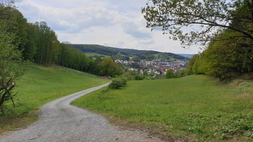 Burgsinn - Taubersleitenkopf - Einertsberg