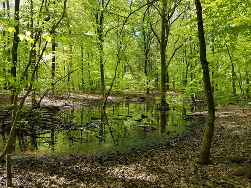 Zum Fresensee