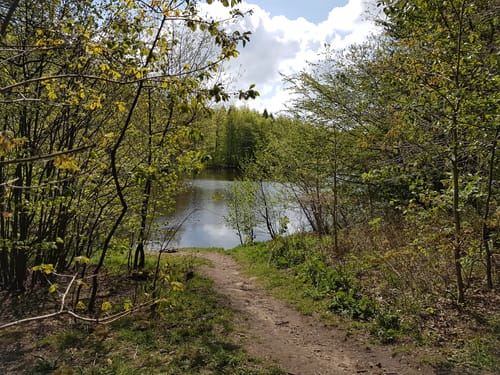 Zum Fresensee