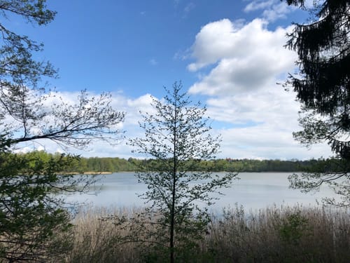 Klobichsee-Runde ab Waldsieversdorf