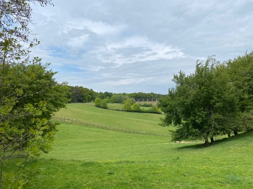 Wolnzach Hopfenlehrpfad