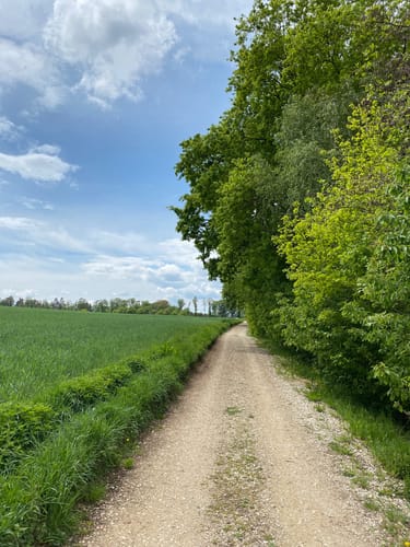 Wolnzach Hopfenlehrpfad