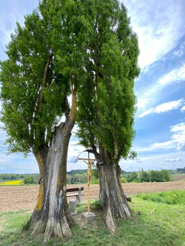 Wolnzach Hopfenlehrpfad