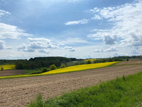 Wolnzach Hopfenlehrpfad