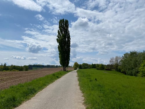 Wolnzach Wanderweg, Nordic Walking Nr. 91