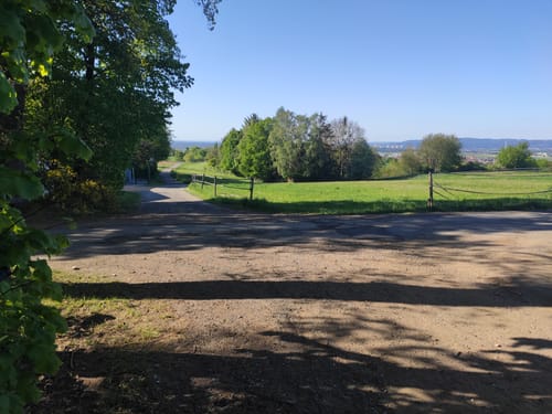 Fränkischer Rotwein Wanderweg Etappe 1: Großwallstadt - Großostheim