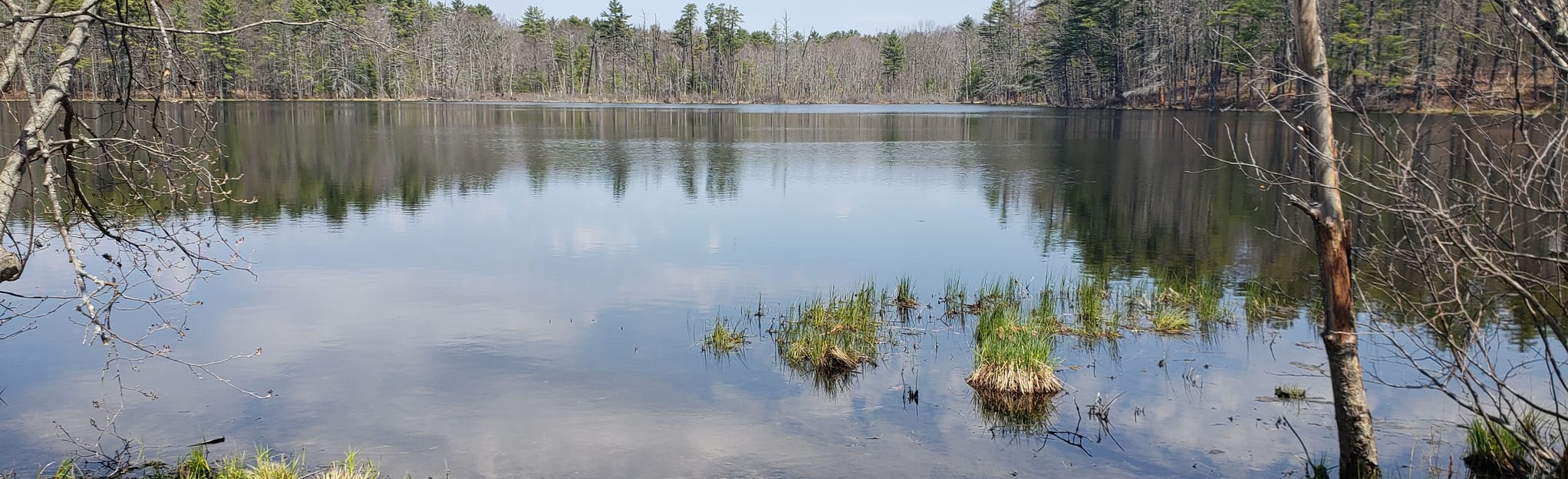Yellow and Green Trail Loop, Maine 12 Reviews, Map AllTrails