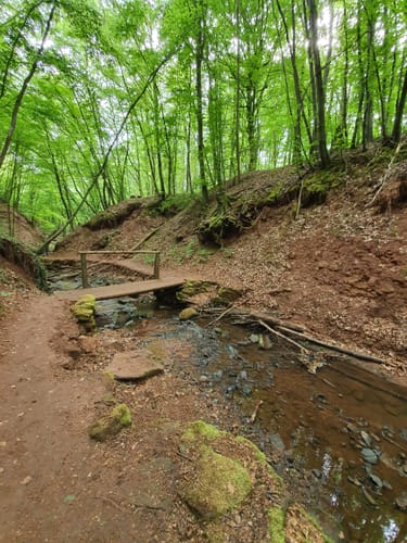 Mühlenbach-Schluchten-Tour (Traumschleife)