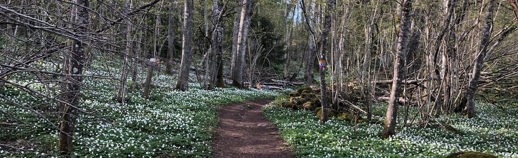 Trollstigen, Västra Götaland, Sweden - 22 Reviews, Map | AllTrails