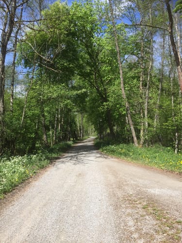 Holzgerlingen zum Grafenberg