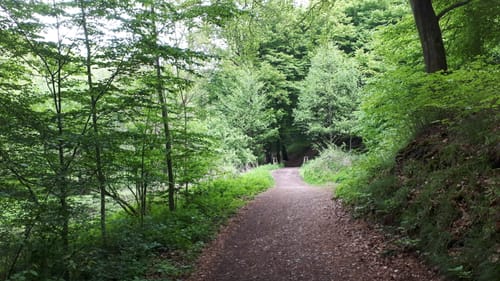 (O) Rundweg Pilghauser- Nacker Bachtal