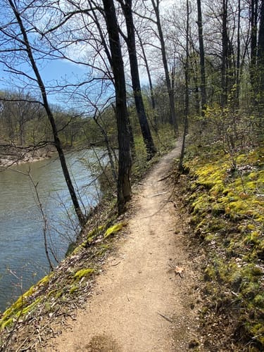 Alum creek phase 2024 1 mtb trail