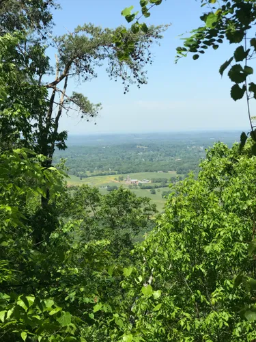 10 Best Horseback Riding Trails in Cherokee National Forest | AllTrails