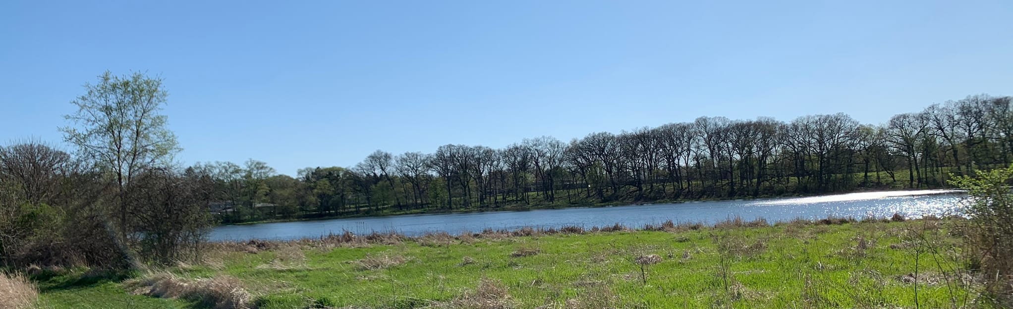 Kenyon Farm Forest Preserve Loop, Illinois 23 Reviews, Map AllTrails