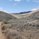 Poeville Trail, Nevada - 44 Reviews, Map | AllTrails