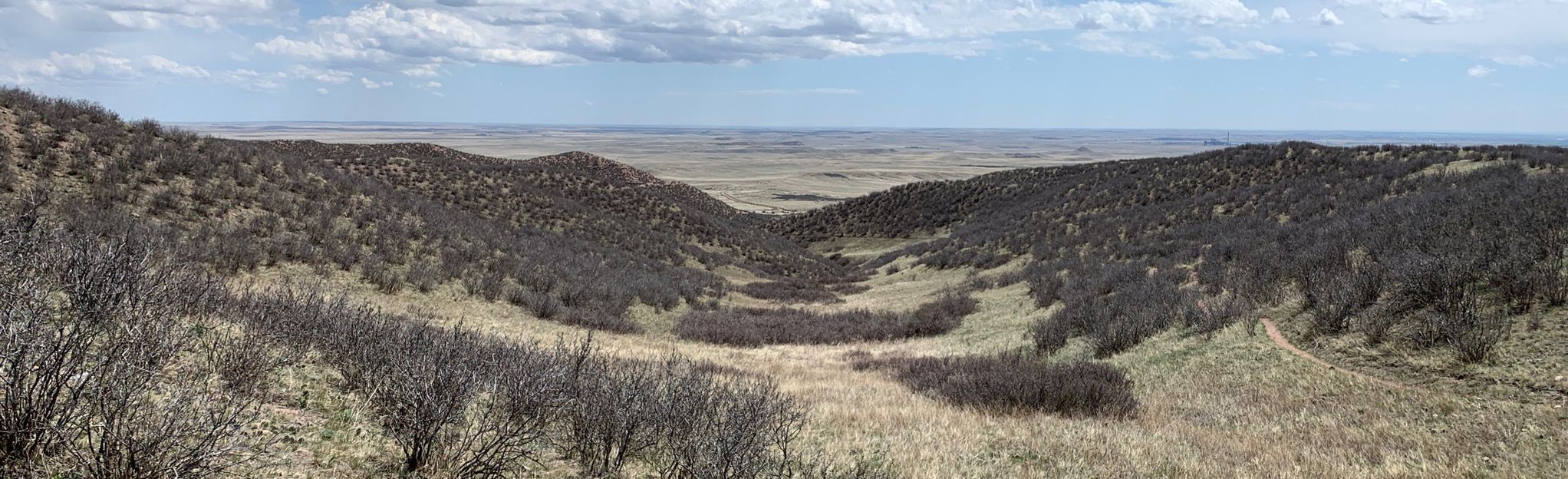 Towhee Loop Trail, Colorado - 113 Reviews, Map | AllTrails