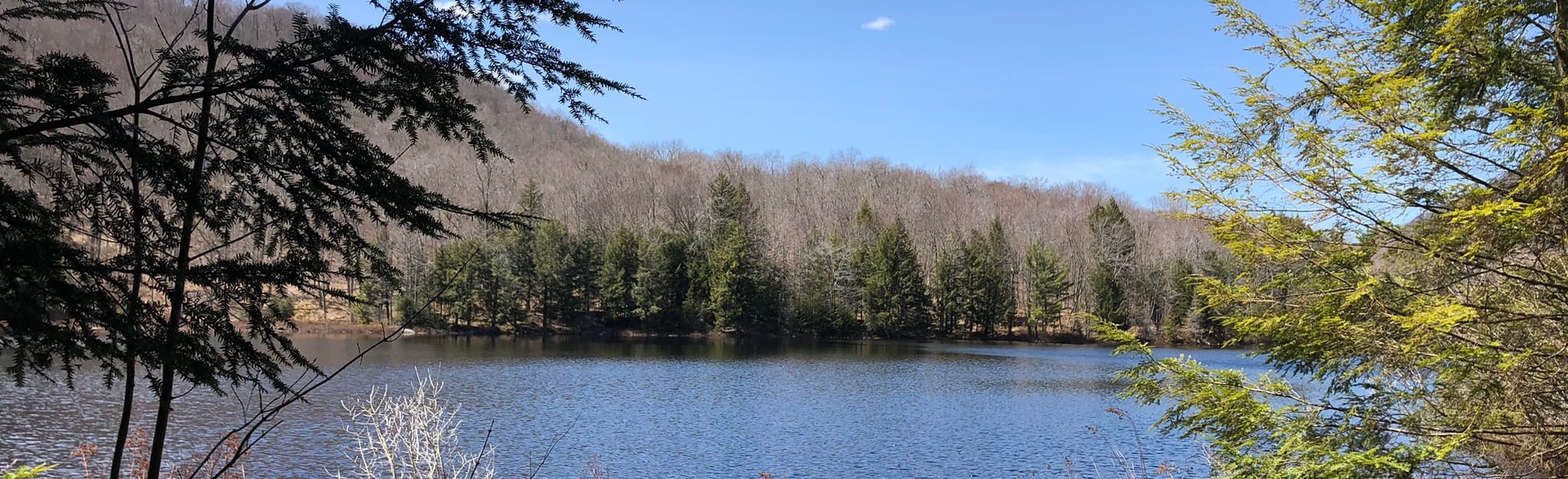 Murphy Lake Trail, New York 116 Reviews, Map AllTrails