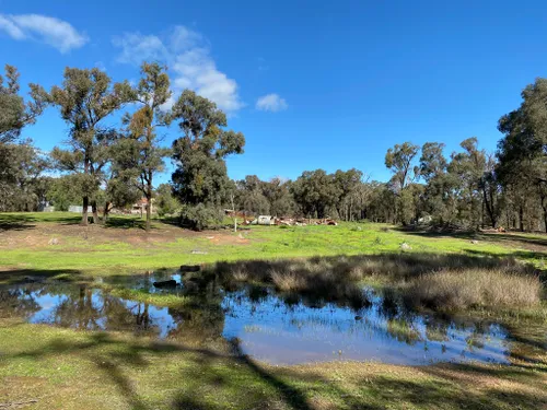 10 Best Hikes and Trails in Bendigo Regional Park | AllTrails