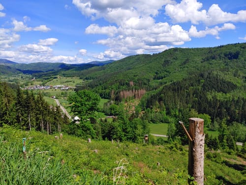 Weitenau - Hofen - Häfnet