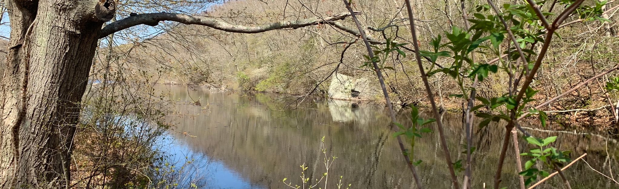 Oswegatchie Hills Red Trail Map, Guide Connecticut AllTrails