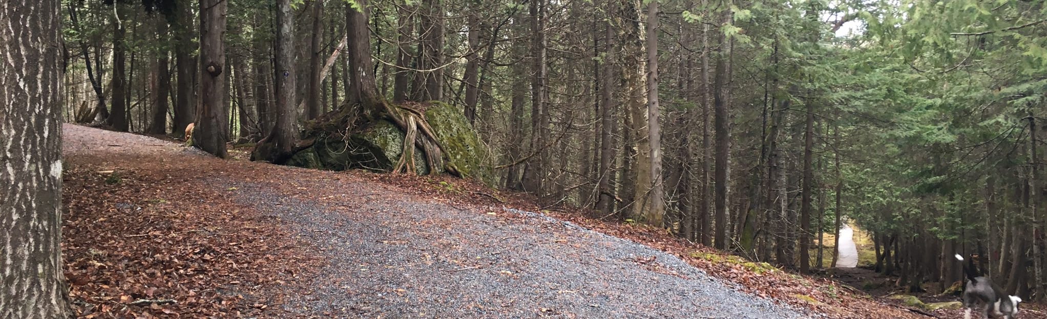 Hammond Jubilee Loop New Brunswick - EyJidWNrZXQiOiJhc3NldHMuYWxsdHJhaWxzLmNvbSIsImtleSI6InVwbG9hZHMvcGhvdG8vaW1hZ2UvMjYyNzE5OTcvOGI5YzkwNjdkYmQ1YWU3MGYzMzYzMzlkMjFmY2FkZWIuanBnIiwiZWRpdHMiOnsidG9Gb3JtYXQiOiJqcGVnIiwicmVzaXplIjp7IndpZHRoIjoyMDQ0LCJoZWlnaHQiOjYyNCwiZml0IjoiY292ZXIifSwicm90YXRlIjpudWxsLCJqcGVnIjp7InRyZWxsaXNRdWFudGlzYXRpb24iOnRydWUsIm92ZXJzaG9vdERlcmluZ2luZyI6dHJ1ZSwib3B0aW1pc2VTY2FucyI6dHJ1ZSwicXVhbnRpc2F0aW9uVGFibGUiOjN9fX0=