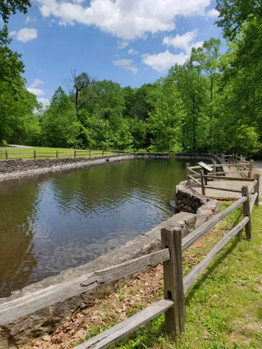 10 Best Hikes and Trails in Jones Gap State Park | AllTrails