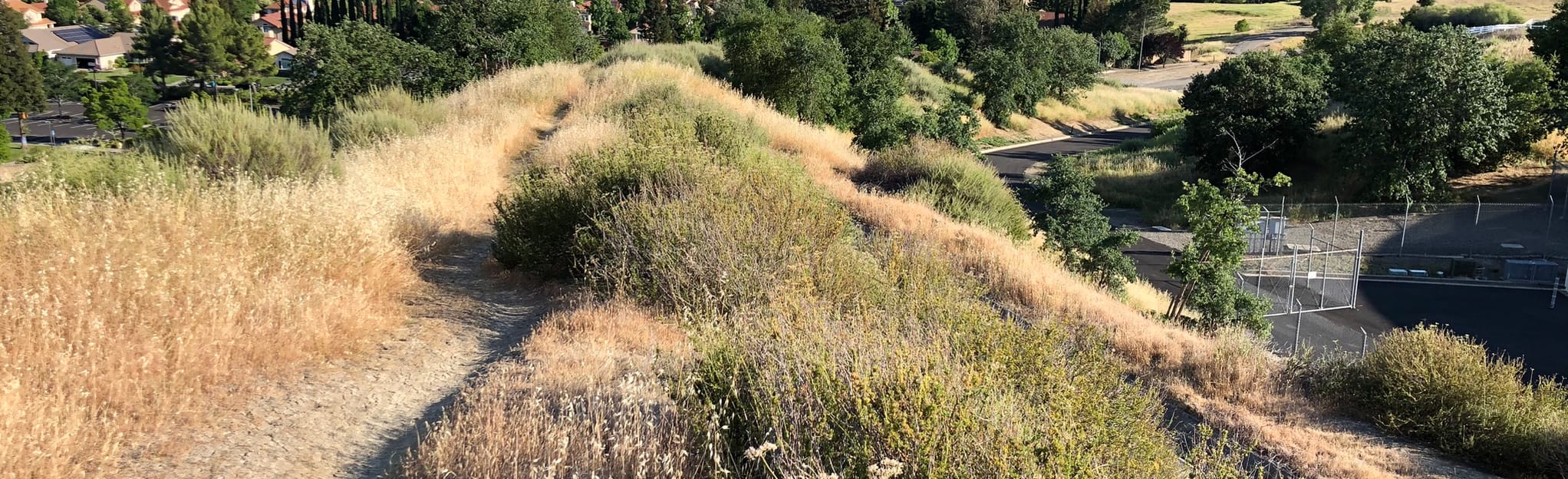 Browns Valley Open Space Trail 98 foto's California AllTrails