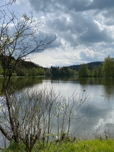 Seerundweg Rannasee
