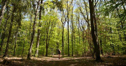 5-Seen-Wanderung von Königs Wusterhausen nach Bestensee