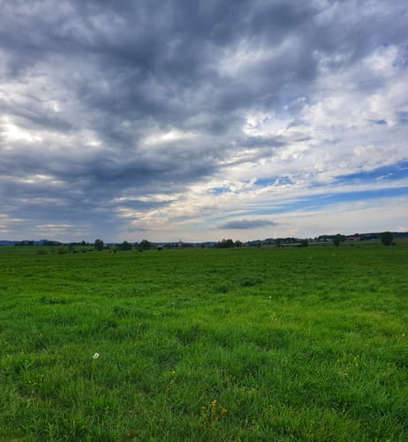 Wagingerseerundweg