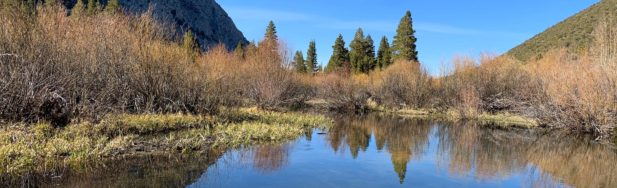 Upper Rock Creek Canyon Trail, California 88 Reviews, Map AllTrails