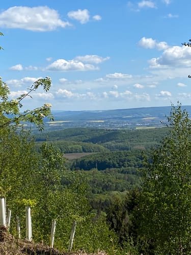 Rundwanderweg A2 Feldrom