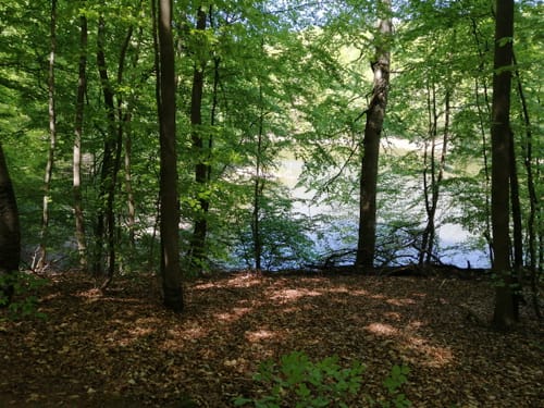 Von Bad Freienwalde zum Baasee