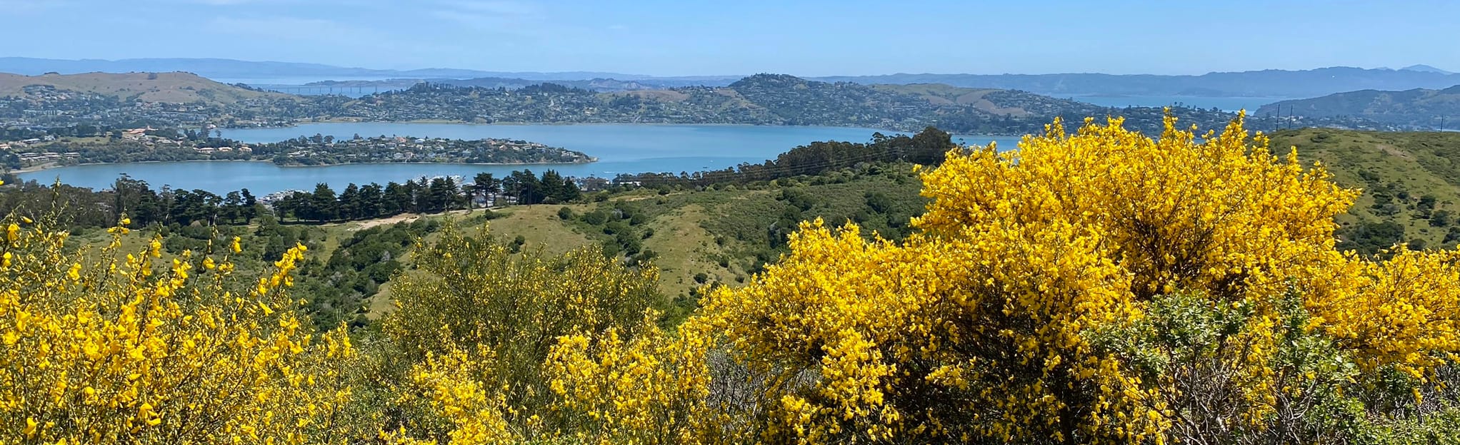 Bay Area Ridge Trail Marin Headlands - EyJidWNrZXQiOiJhc3NldHMuYWxsdHJhaWxzLmNvbSIsImtleSI6InVwbG9hZHMvcGhvdG8vaW1hZ2UvMjYyOTQ2NDcvMTQ4ODE3YmRlYmZjZTZhYThmNjFhNmQxMzlhMjVjMGYuanBnIiwiZWRpdHMiOnsidG9Gb3JtYXQiOiJqcGVnIiwicmVzaXplIjp7IndpZHRoIjoyMDQ0LCJoZWlnaHQiOjYyNCwiZml0IjoiY292ZXIifSwicm90YXRlIjpudWxsLCJqcGVnIjp7InRyZWxsaXNRdWFudGlzYXRpb24iOnRydWUsIm92ZXJzaG9vdERlcmluZ2luZyI6dHJ1ZSwib3B0aW1pc2VTY2FucyI6dHJ1ZSwicXVhbnRpc2F0aW9uVGFibGUiOjN9fX0=